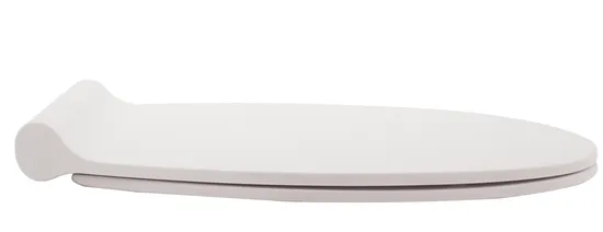 Elongated Toilet Seat Molded Toilet Seat with Quietly Close and Quick Release Hinges, Easy to Install Also Easy to Clean by Aobo